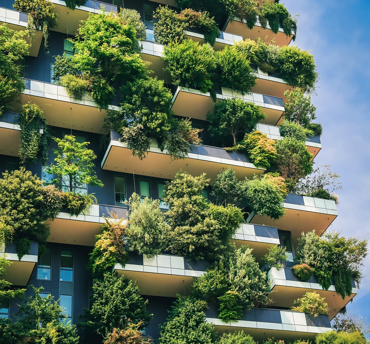 Cheyne Real Estate ESG — Considerations