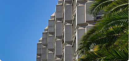 Madrid – tiered modernist building façade with a palm tree
